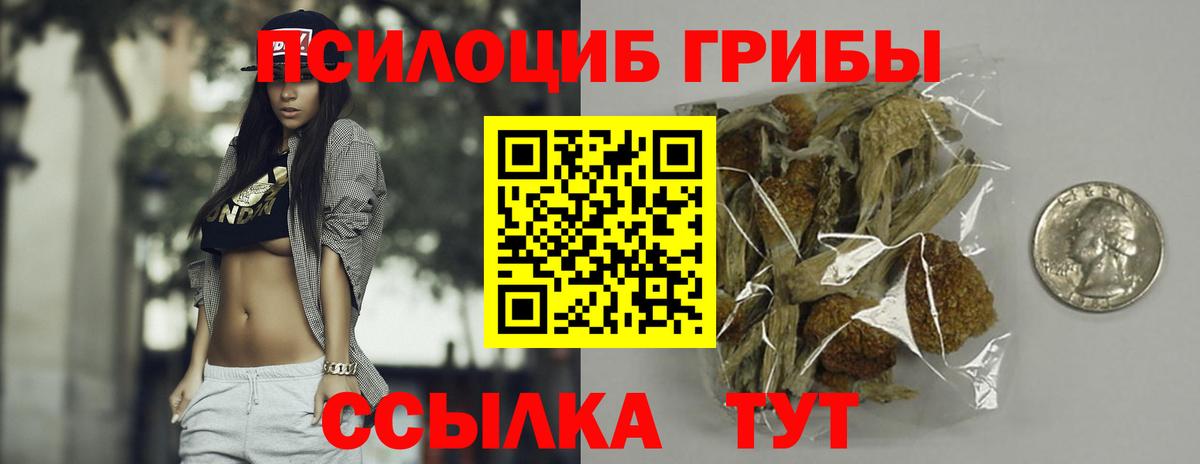 Галлюциногенные грибы GOLDEN TEACHER Череповец