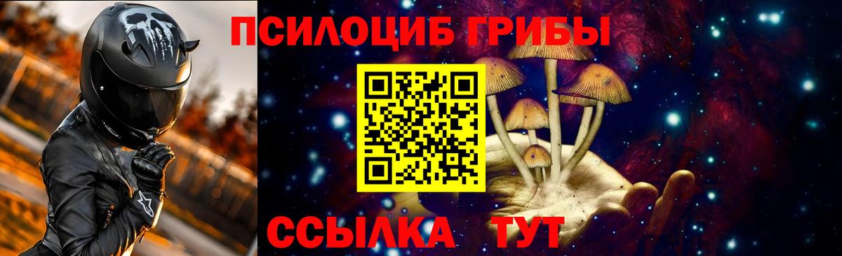 Галлюциногенные грибы Cubensis  Вход с VPN  Псилоцибиновые грибы прущие грибы  Череповец 